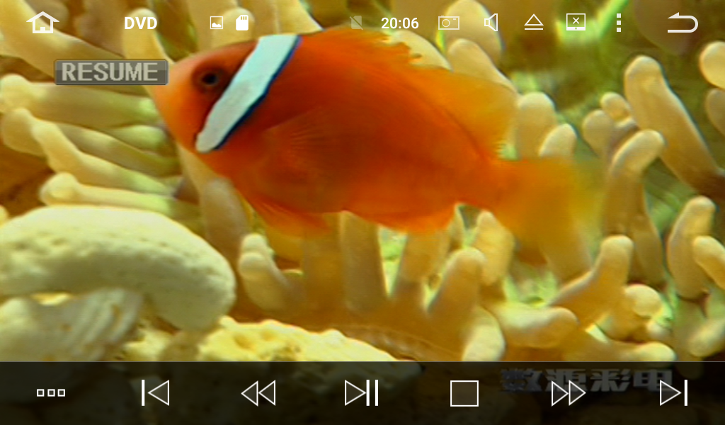 2__1___1576047383_715