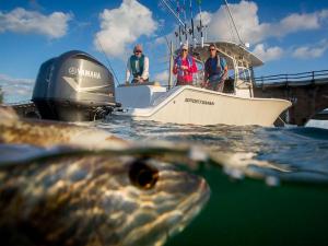 F350_GAL02__1495866352_199